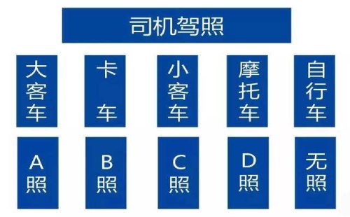 交管站：驾驶证分类与准驾车型