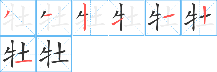 牡字的笔顺分步演示