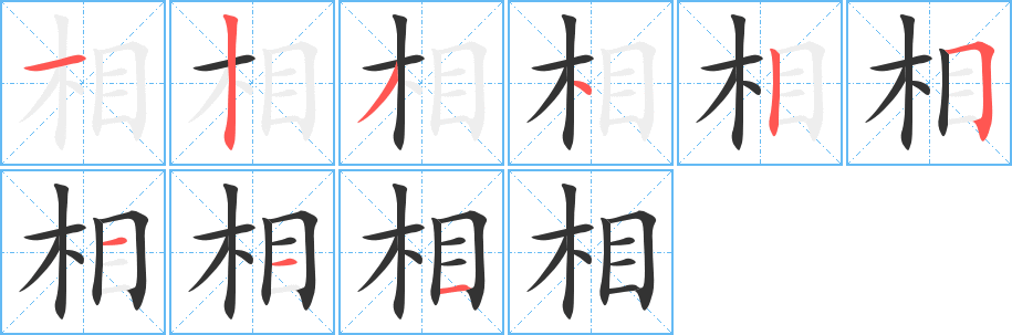 相字的笔顺分步演示
