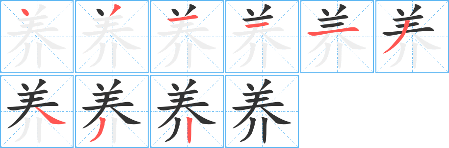 养字的笔顺分步演示