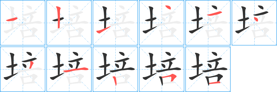 培字的筆順?lè)植窖菔?></p>
<p><span id=