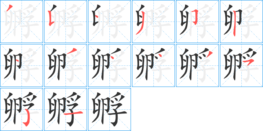 孵字的筆順分步演示