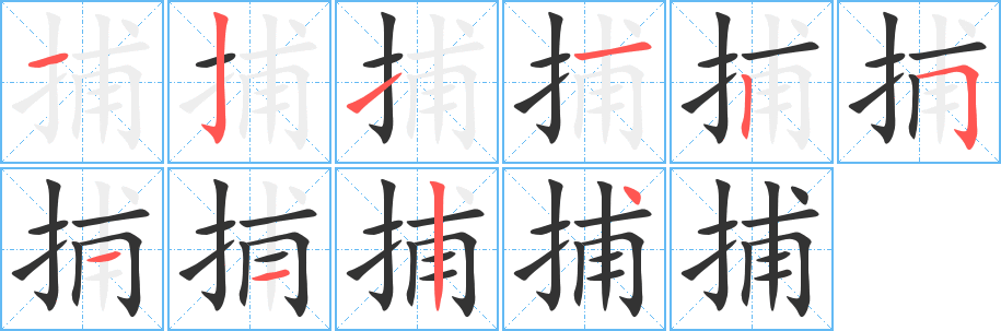 捕字的笔顺分步演示