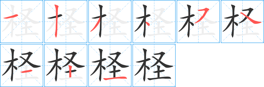 柽字的笔顺分步演示