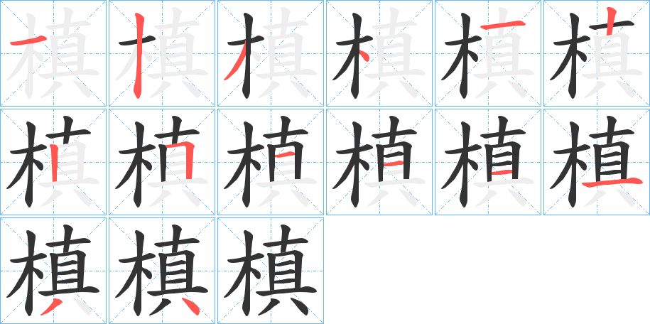 槙字的笔顺分步演示