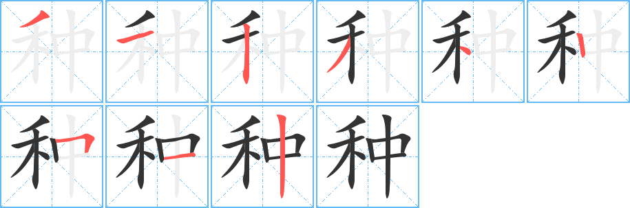种字的笔顺分步演示