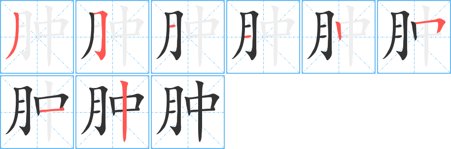 腫字的筆順?lè)植窖菔?></p>
<p><span id=