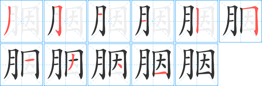 胭字的笔顺分步演示