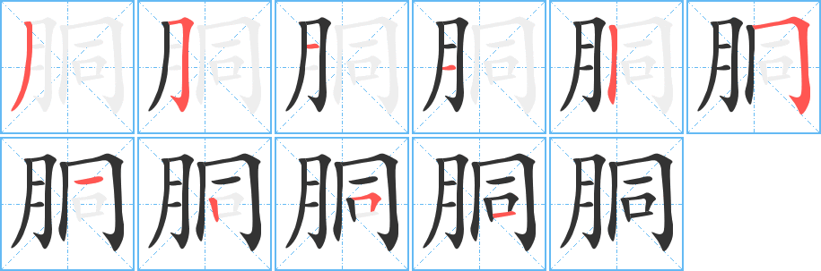 胴字的筆順?lè)植窖菔?></p>
<p><span id=