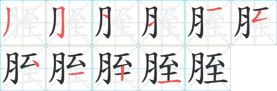 胵字的笔顺分步演示