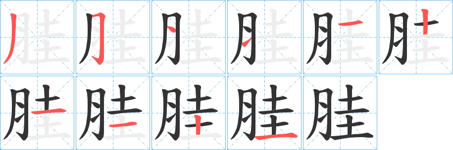 胿字的笔顺分步演示