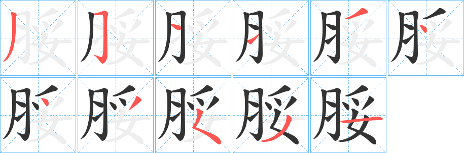 脮字的筆順分步演示