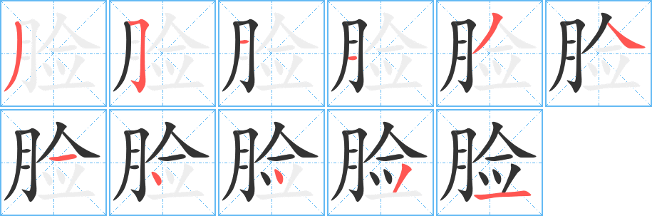 脸字的笔顺分步演示