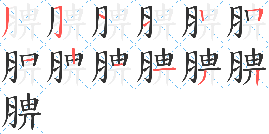 腗字的笔顺分步演示