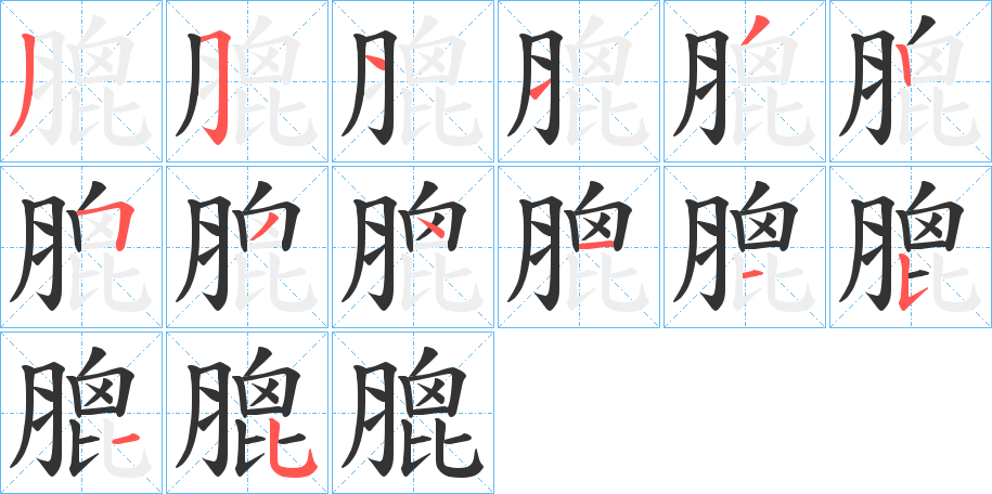 膍字的笔顺分步演示