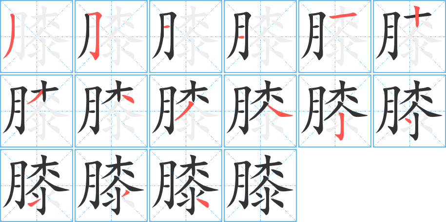 膝字的笔顺分步演示