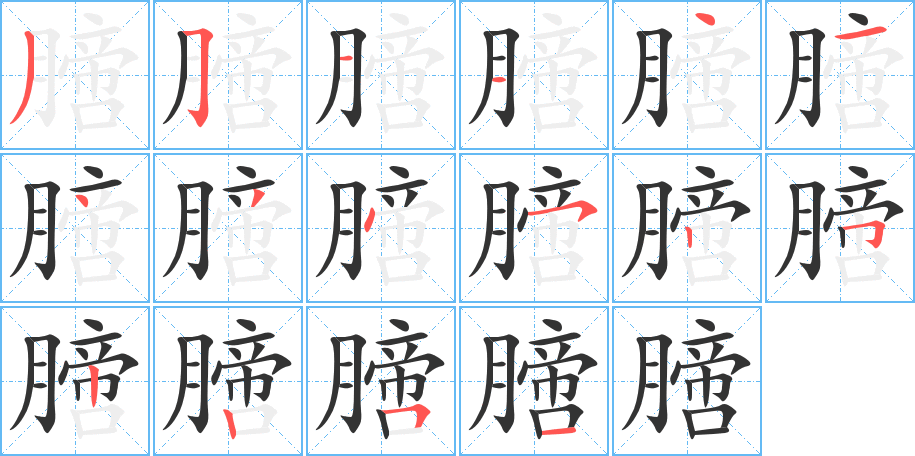 膪字的筆順?lè)植窖菔?></p>
<p><span id=