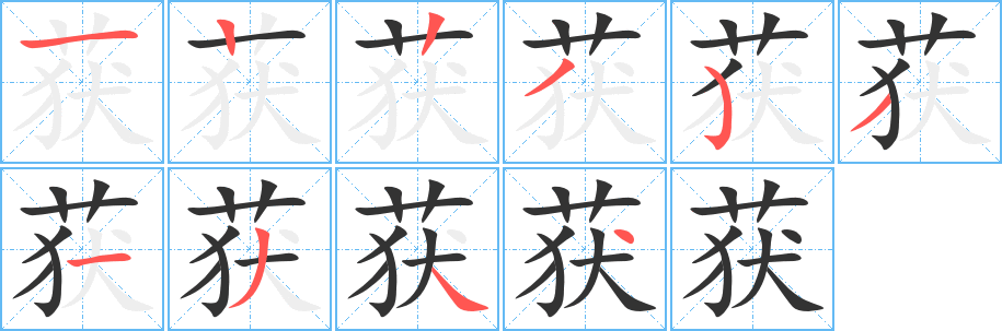 获字的笔顺分步演示