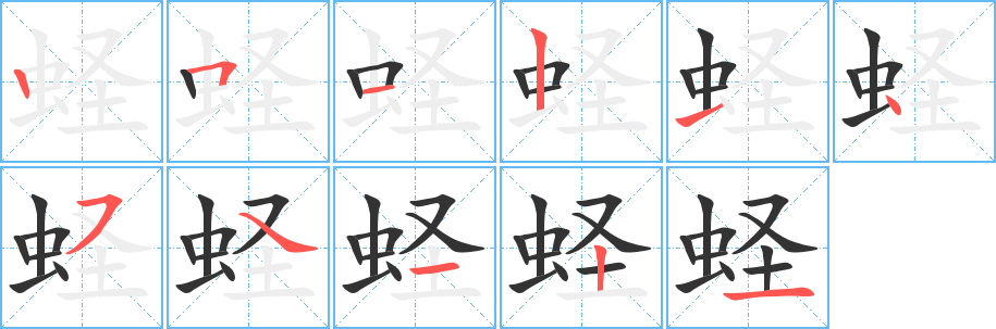 蛏字的笔顺分步演示