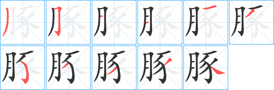 豚字的筆順?lè)植窖菔?></p>
<p><span id=