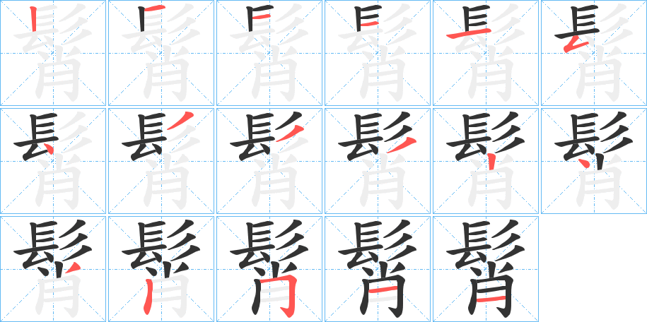 髾字的筆順?lè)植窖菔?></p>
<p><span id=